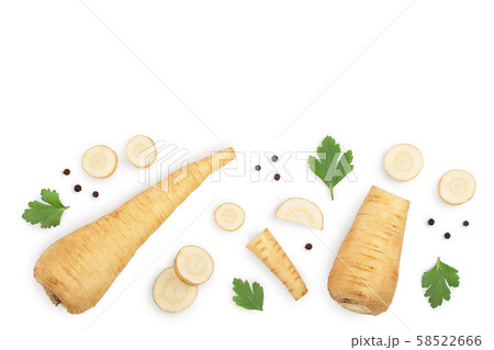 Parsnip root and slices with parsley peppercorns isolated on white background with copy space for 58522666
