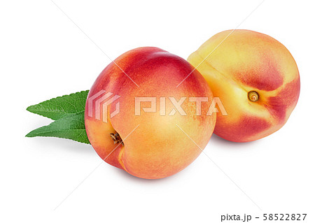 Nectarine fruit with leaf isolated on white background cutout Nectarine fruit with leaf isolated on white background cutout 58522827
