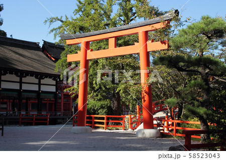 京都　下鴨神社　鳥居 58523043