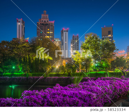 City Park with Lake and Skyscrapers at Night 58523334