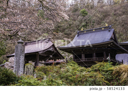 (山梨県身延町)山間にひっそりたたずむ、方外院 桜の季節 (山梨県身延町)山間にひっそりたたずむ、方外院 桜の季節 58524133