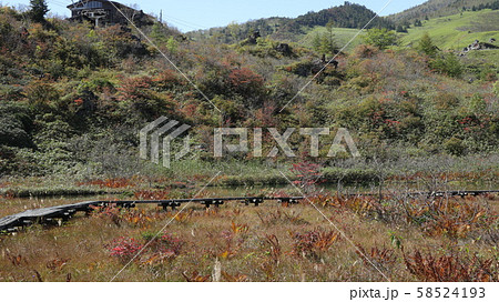 武具脱の池の紅葉 58524193