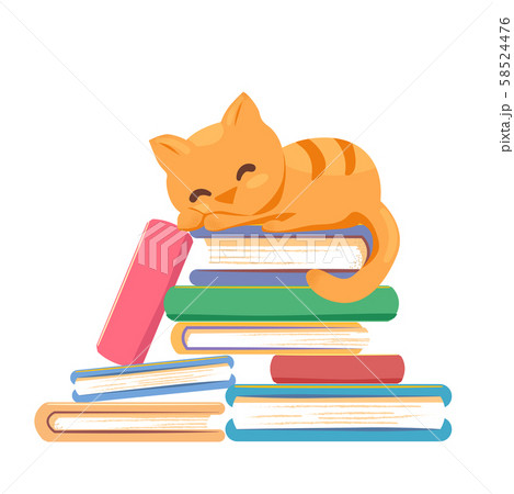 Red cat sleeping stack books on white background. Book library, education literature, knowledge 58524476