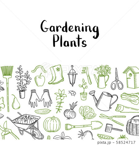 Horticulture and plants sketch pattern. Vector gardening icons background Horticulture and plants sketch pattern. Vector gardening icons background 58524717