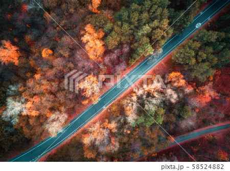 Aerial view of road in beautiful autumn forest 58524882