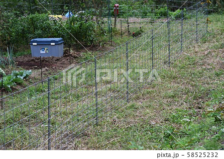 家庭菜園のイノシシ侵入防止柵設置作業 58525232
