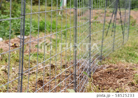 家庭菜園のイノシシ侵入防止柵設置作業 58525233