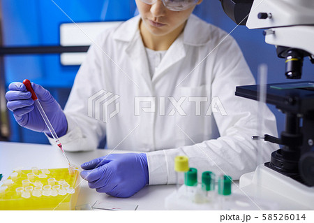 Laboratory Tests Closeup 58526014