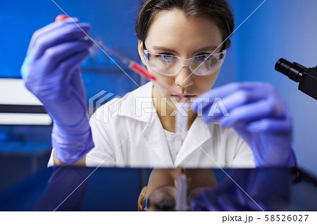 Female Scientist in Laboratory Female Scientist in Laboratory 58526027
