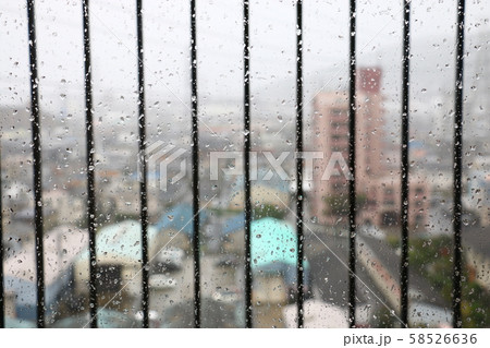 台風　（吹き降り） 58526636