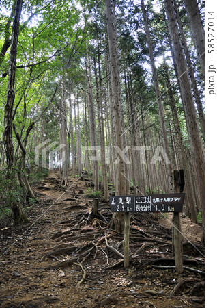 奥武蔵 伊豆ヶ岳の長岩峠 奥武蔵 伊豆ヶ岳の長岩峠 58527014