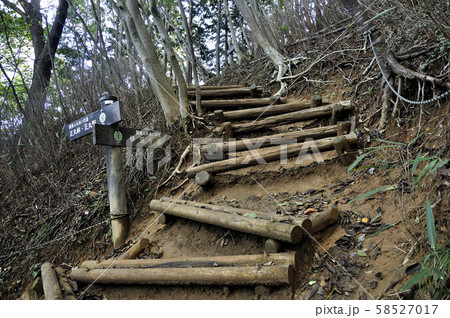 奥武蔵 伊豆ヶ岳の登山道 奥武蔵 伊豆ヶ岳の登山道 58527017