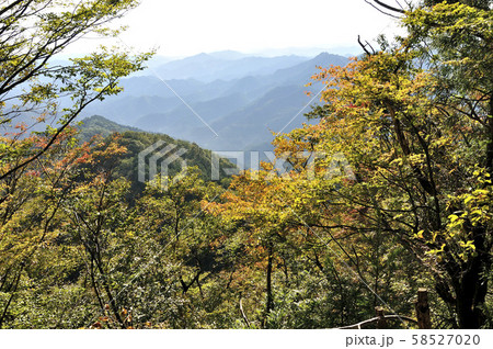 奥武蔵 伊豆ヶ岳の紅葉 奥武蔵 伊豆ヶ岳の紅葉 58527020