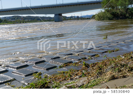 多摩川増水　台風19号　2019年 58530840