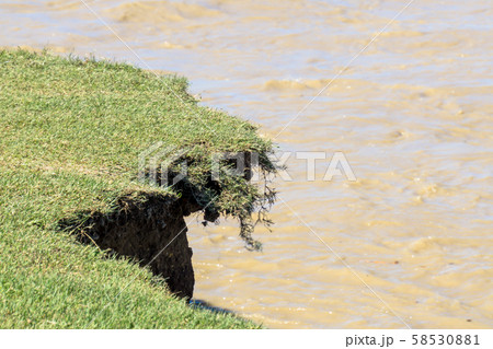 多摩川増水　台風19号　2019年　河原浸食 58530881