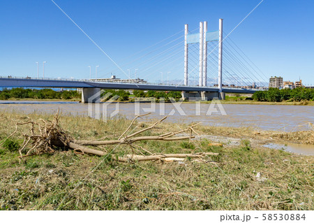 多摩川増水　台風19号　2019年 58530884