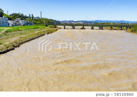 多摩川増水　台風19号　2019年 58530900