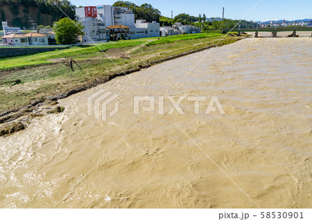 多摩川増水　台風19号　2019年 58530901