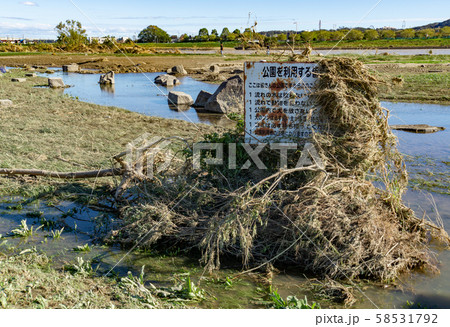 多摩川増水の爪痕　流木が集積　台風19号　2019年 58531792