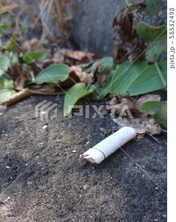 タバコのゴミ タバコのポイ捨ては環境に大変な影響を与える！タバコのごみについて