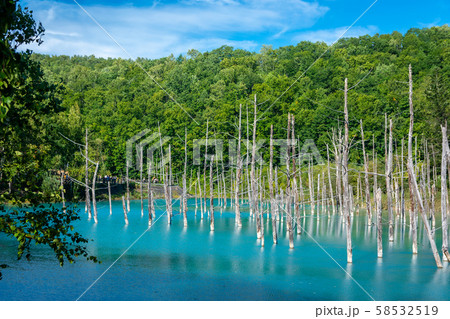 【北海道】青い池・風景 【北海道】青い池・風景 58532519