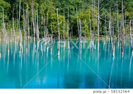 【北海道】青い池・風景 【北海道】青い池・風景 58532564