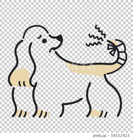 犬 ポーズ 表情 １匹 怪我 アメリカンコッカースパニエルのイラスト素材