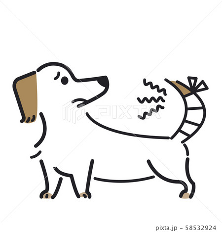 犬 ポーズ 表情 １匹 怪我 ミニチュアダックスフンドのイラスト素材
