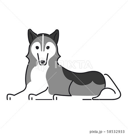 犬 ポーズ 表情 １匹 フセ シベリアンハスキーのイラスト素材
