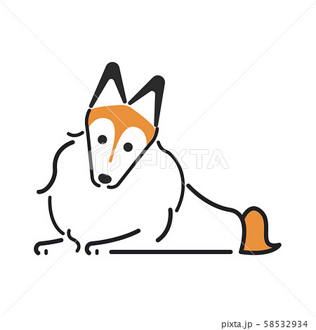 犬 ポーズ 表情 1匹 フセ シェットランドシープドッグ 犬 ポーズ 表情 1匹 フセ シェットランドシープドッグ 58532934