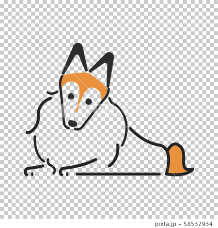 Dog Poses Facial Expression 1 Fuse Shetland Sheepdog 58532934