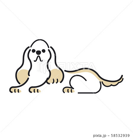 犬 ポーズ 表情 １匹 フセ アメリカンコッカースパニエルのイラスト素材