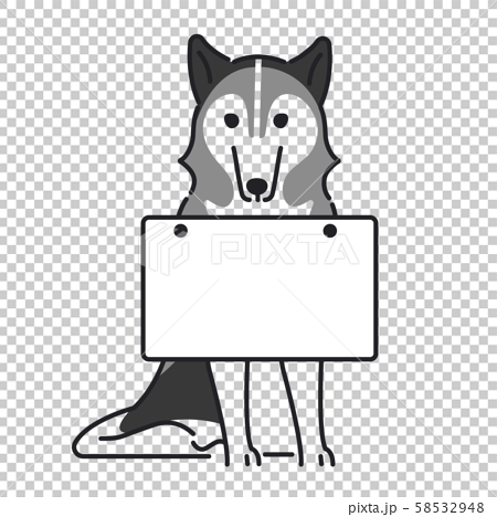 犬 ポーズ 表情 １匹 看板 シベリアンハスキーのイラスト素材