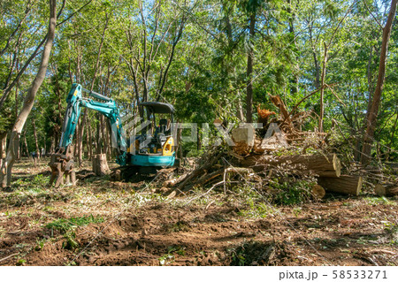 台風による倒木 58533271