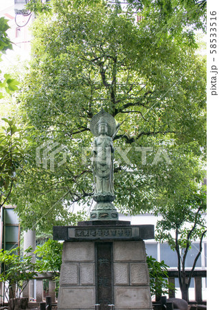 東京都 下谷七福神の弁財天 竜泉の朝日弁天院 聖観世音菩薩尊像 東京都 下谷七福神の弁財天 竜泉の朝日弁天院 聖観世音菩薩尊像 58533516