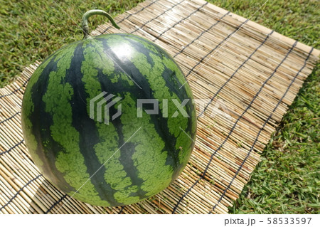 スイカ 58533597