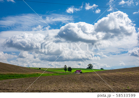 【北海道】赤い屋根の家・風景 【北海道】赤い屋根の家・風景 58533599