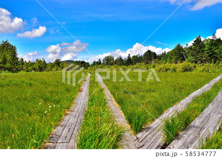 鬼怒沼山 鬼怒沼山 58534777