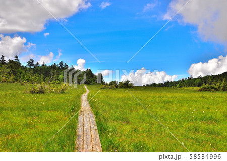 鬼怒沼山 58534996