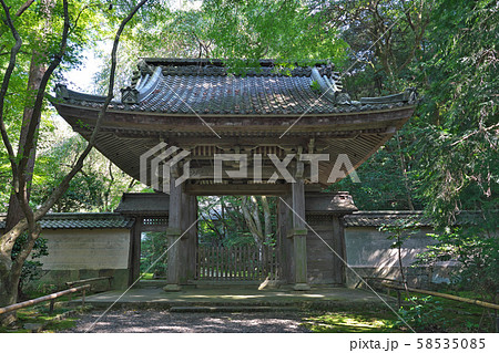 【龍潭寺】 滋賀県彦根市古沢町 58535085