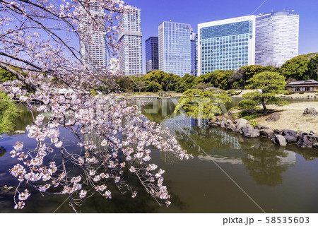 東京の安らぎ空間 浜離宮恩賜庭園 春の写真素材