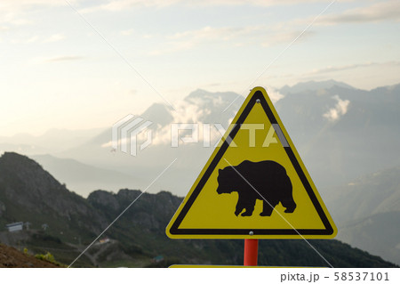 Yellow warning sign board - caution, bear in the area. 58537101