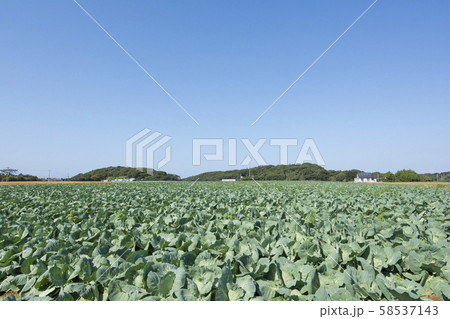 福岡 58537143