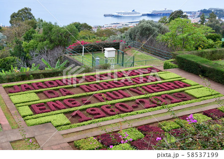 ポルトガル領、マデイラ島、フンシャル、植物園 ポルトガル領、マデイラ島、フンシャル、植物園 58537199