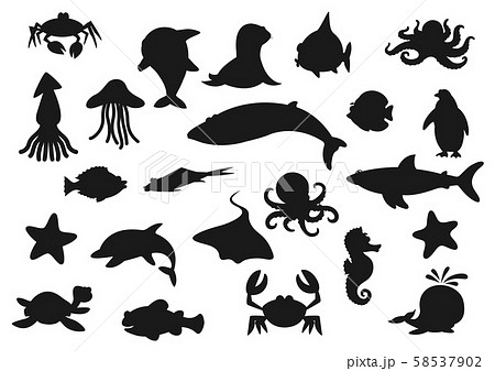 Fish, whale, crab, shark, jellyfish. Sea animals Fish, whale, crab, shark, jellyfish. Sea animals 58537902