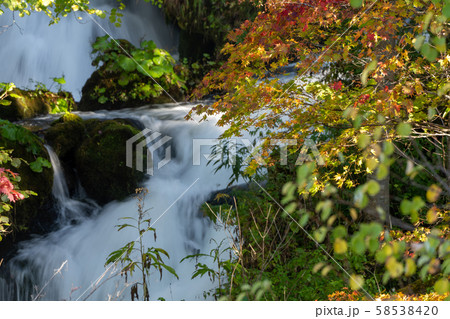 清流と紅葉 58538420
