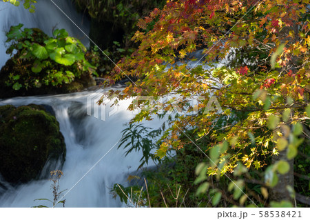 清流と紅葉 58538421