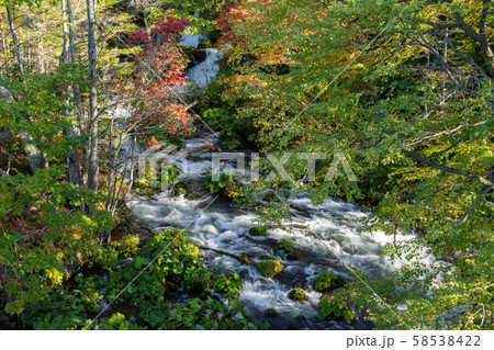 清流と紅葉 58538422