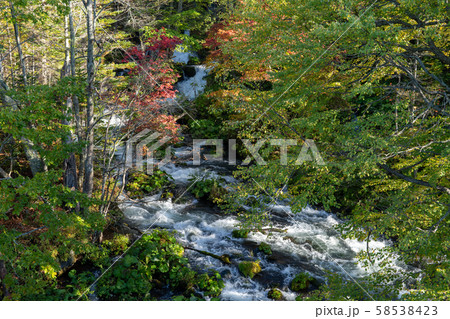 清流と紅葉 58538423