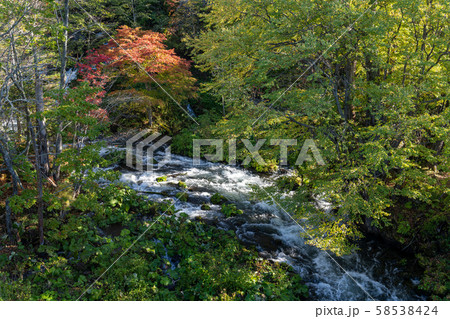 清流と紅葉 58538424